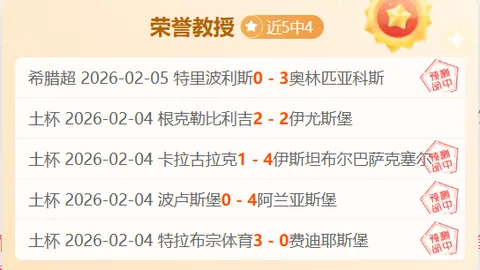 时光碎片：11月11日摄影精选集